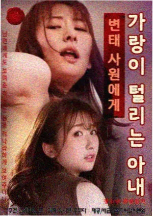 双面律师 韩国律政剧